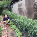 금빛세탁 이미지