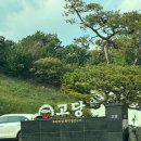 고당 | 경기광주 고당 방문 후기 – 생선구이, 제육볶음 가족 외식으로 좋은 한식정식 맛집