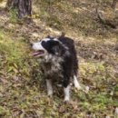 정상골농장 이미지