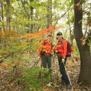 호남상회 이미지