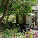 노래하는 김삿갓 이미지