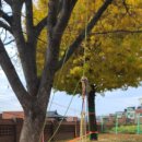 봉래초등학교병설유치원 이미지