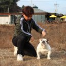 니나노 이미지