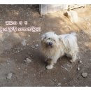 우번골 이미지