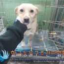 신천로 이미지