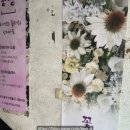 서울로터스치과의원 이미지