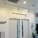 제주 키움 동물병원 네이버블로그