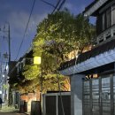 📍목동 조용한 카페 커피별녹색잔 | 주차팁, 로스팅 커피 후기 | 15년 소금쿠키 품절 이유