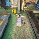 중앙공업사 이미지