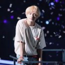 LYS 이미지