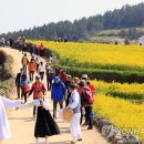 청산도횟집 이미지