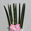 서창남순환로 이미지