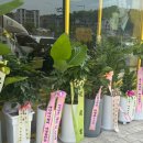 컴포즈커피대전둔곡점
