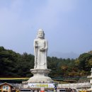 달과 함께 걷다 이미지