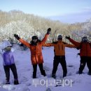 동백캠핑