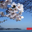 (주)푸른바다