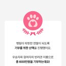 내가할개 이미지