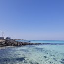 석부작박물관 | 제주미니버스여행 가족 여행으로 선택한 그랜드제주도여행 후기