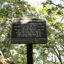 무릉도원면-9 이미지