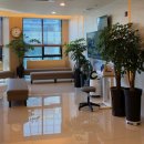 튼튼속내과의원 이미지