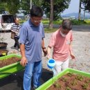 김동우농장 이미지