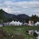 타코앤꼬치 | 가평 [2025 재즈페스티벌] 준비물, 푸드트럭 음식 후기 !