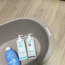 베베시앙 이미지