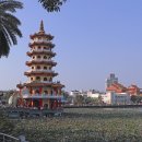 용호시장 이미지