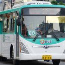 삼영운수 이미지