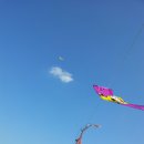 헤미 Daum카페