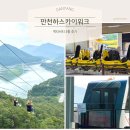 스카이안경 | [충북] 단양 만천하스카이워크 액티비티 3종 체험 후기｜짚와이어·알파인코스터·모노레일
