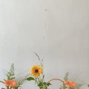 푸르제