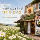72 | 지금 당장 가야 할 남양주 도농체육공원 데이지 꽃구경 다산동 화기애애 소갈비 솔직 후기