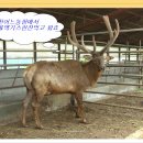 청록농장 이미지