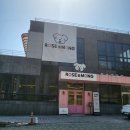 잔디 운동장이 있는 고양 애견카페 로제몽