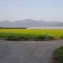 벌교사료 이미지