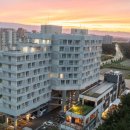 파인아트 이미지