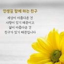 행복한 아침 이미지