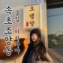 &#34;내돈내산 속초 포장마차거리 말고 시내에 위치한 조양동 술집 맛집 이자카야 오뎅당 후기!&#34;
