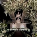 오(O) | MJ컨벤션 아이폰스냅 [오래빗스냅] 계약후기-짝꿍코드O