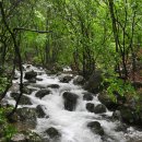 강씨봉자연휴양림 이미지