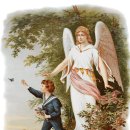 (주)수호천사 이미지