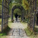달구벌통신