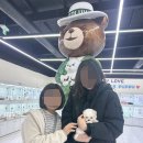 인천강아지분양 테디럽 이미지