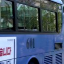 버스전용차로(2) 이미지