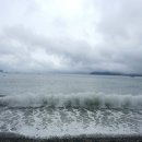 바람의언덕 Daum카페