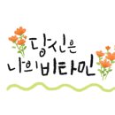 심지전문서적 이미지