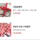 봉봉설기 이미지