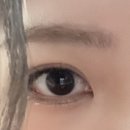 정샘뷰티