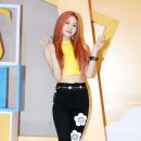 다현기획 이미지